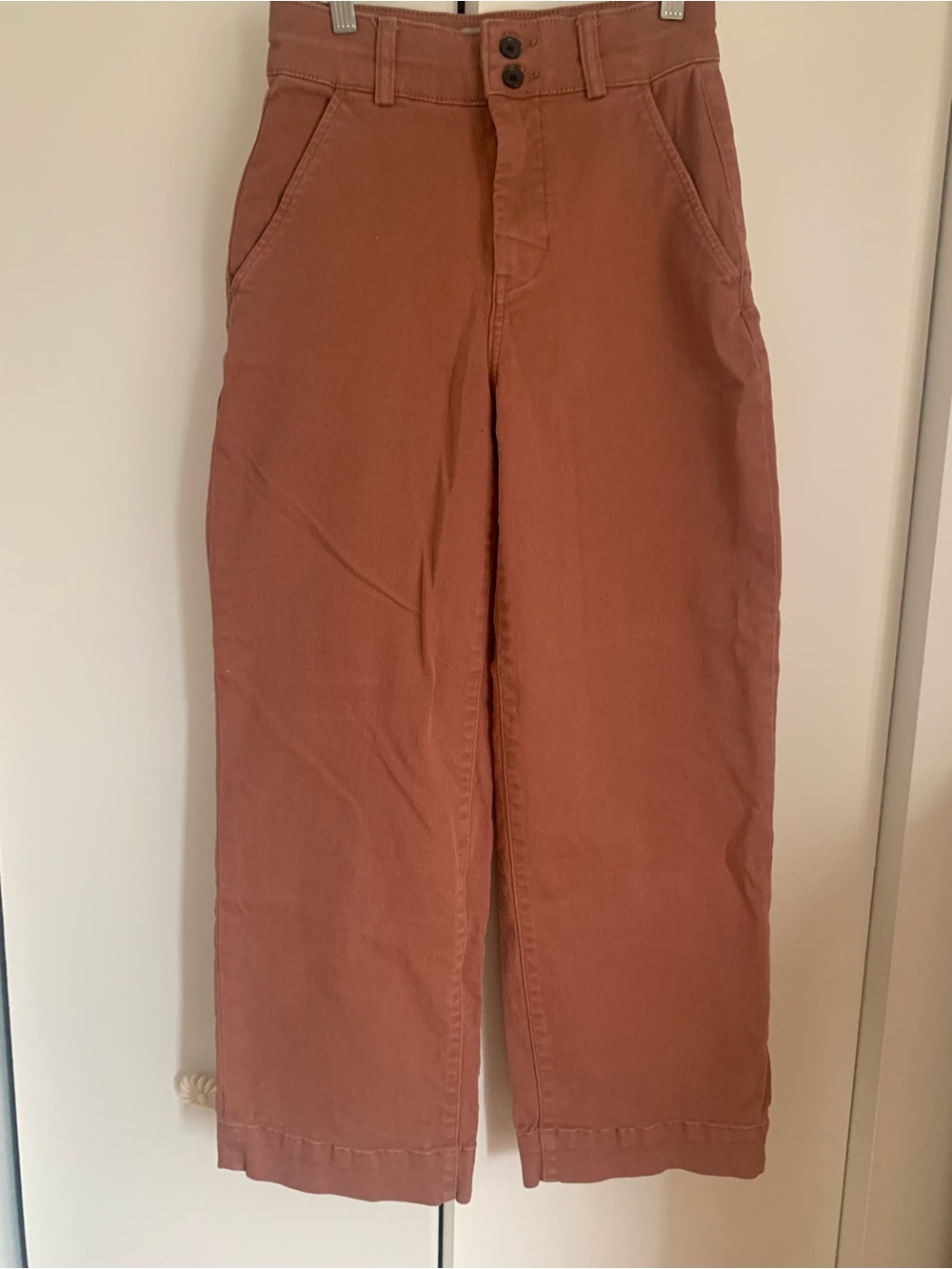Everlane Women’s Organic Wide-Leg Cotton Pants in Clay/ Rust